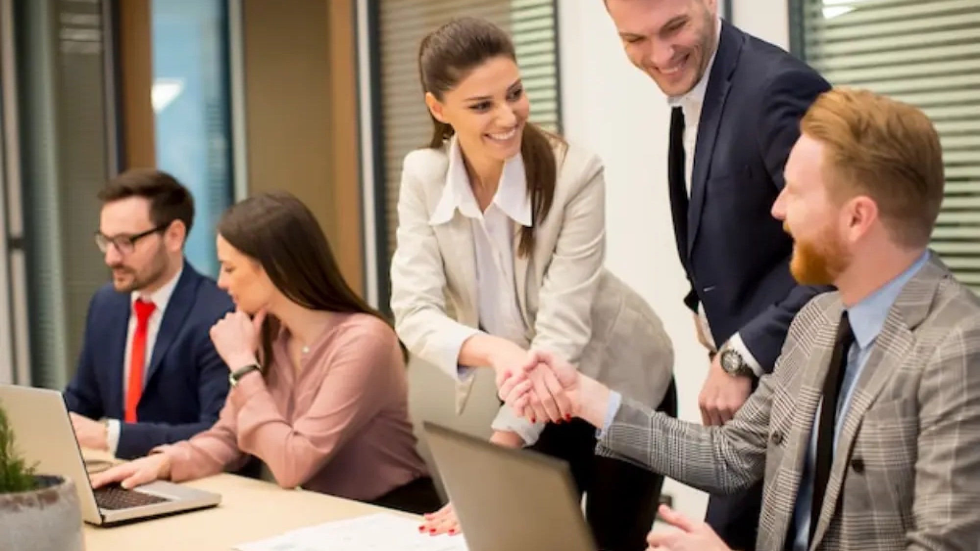 Everything You Need to Know About Consultants